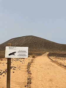 Dobrodružství na  Isla de Lobos