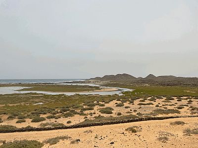 Dobrodružství na  Isla de Lobos